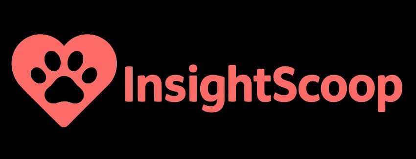 InsightScoop logo