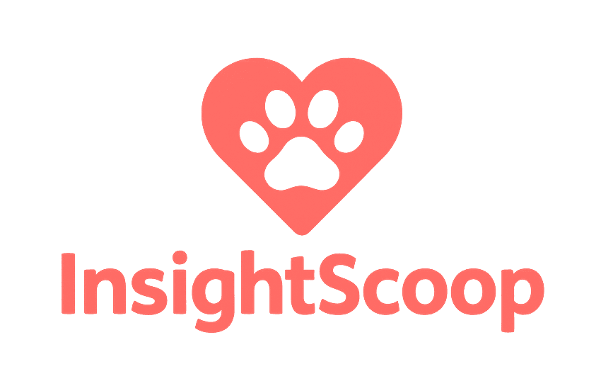 InsightScoop