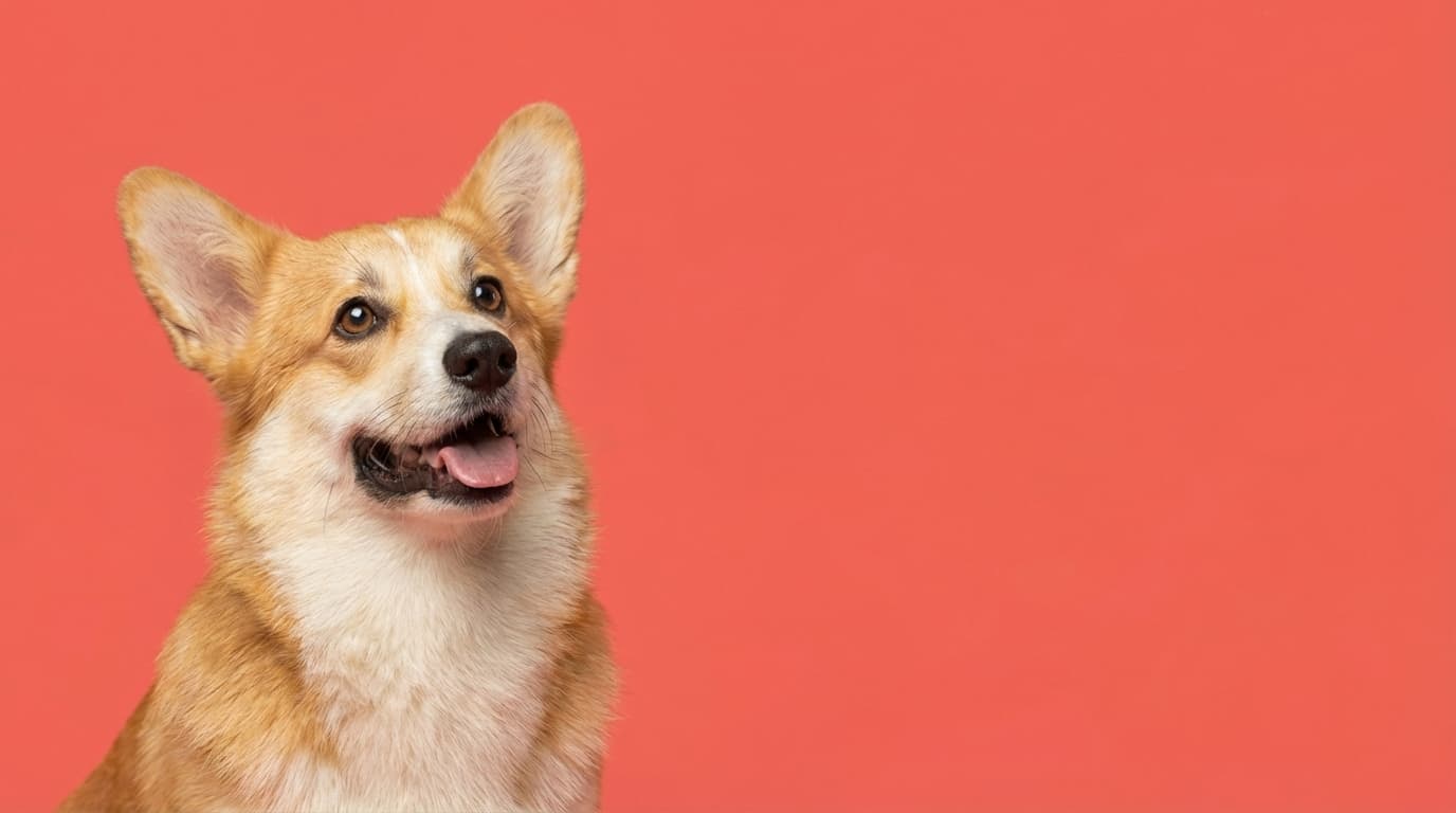 Arlo in service area