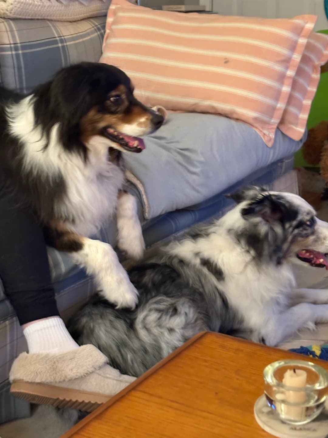 Kiara and Pixel together