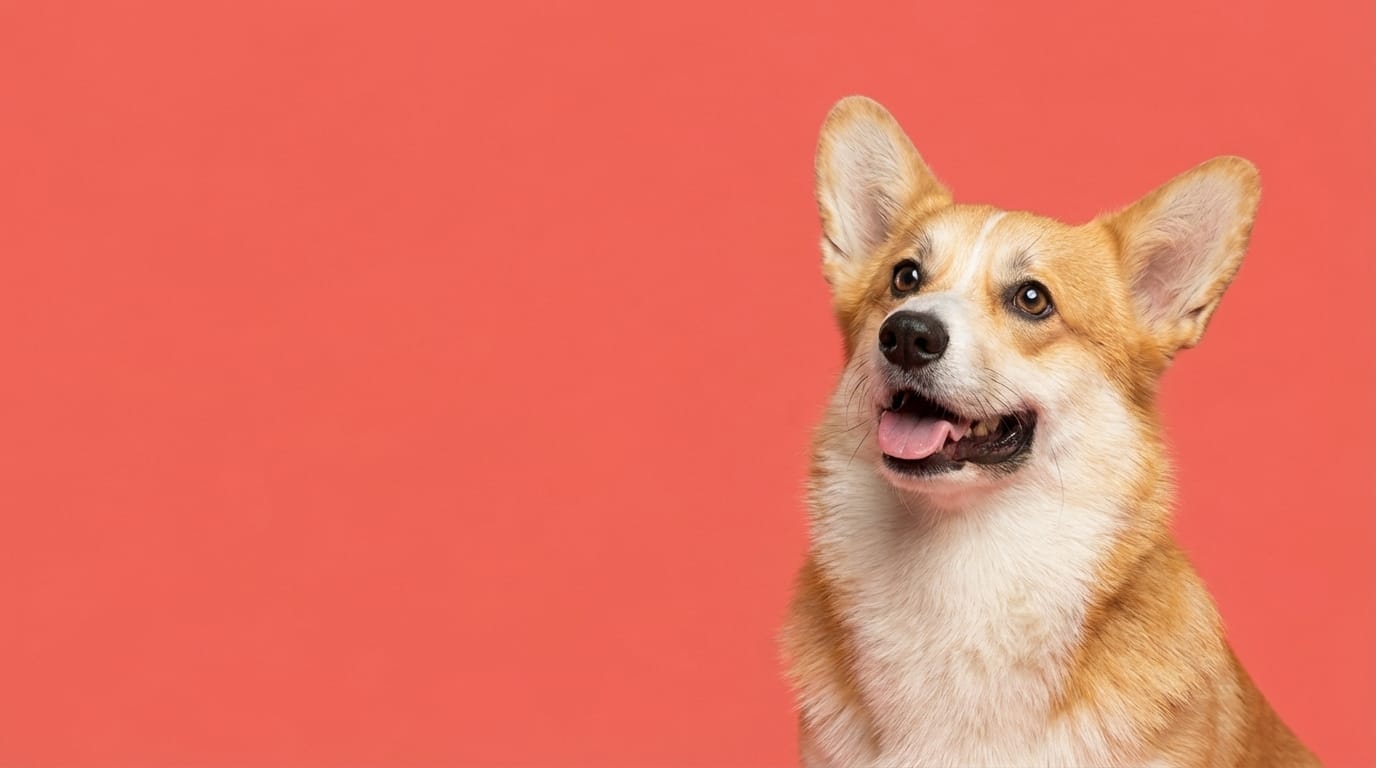 Pet parent reviewing InsightScoop pricing options