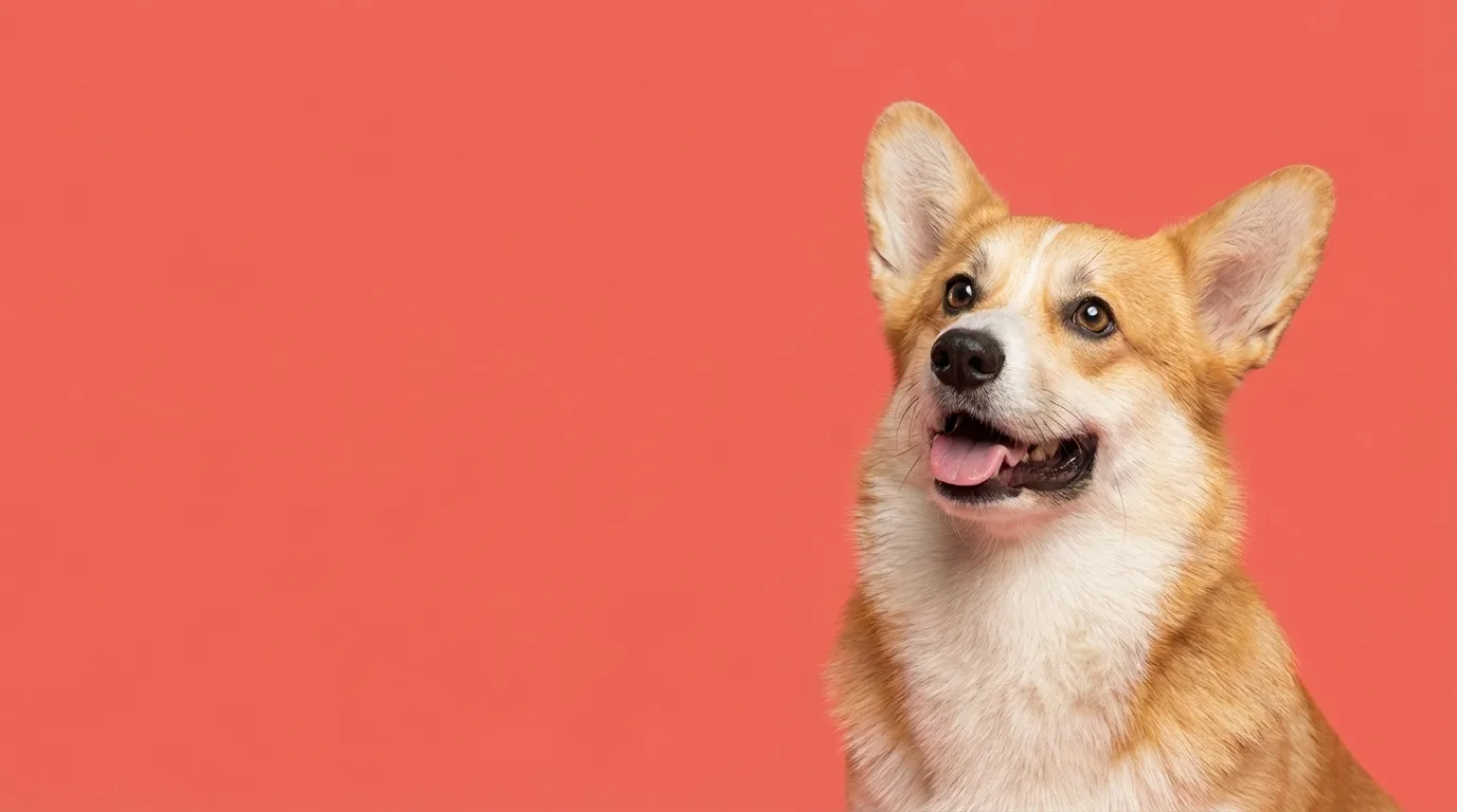 Pet parent reviewing InsightScoop pricing options