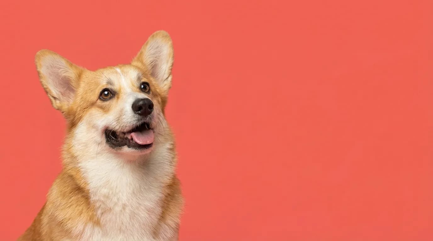 Arlo in service area