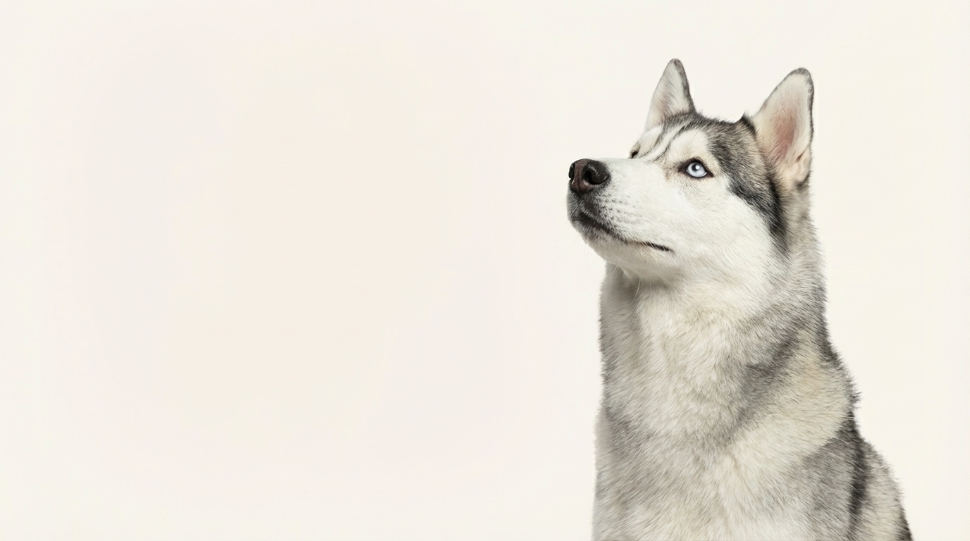 Customer discussing pet care questions outdoors